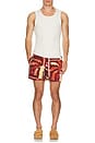view 5 of 5 Amalfi Boardshort in Arlo