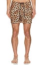 view 5 of 5 Amalfi Boardshort in Arlo