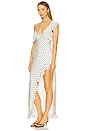 view 3 of 4 Karlita Maxi Dress in White Polka