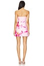 view 4 of 4 Primrose Mini Dress in Pink Flower