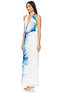 view 3 of 4 Jasmina Maxi Dress in Blue Flower