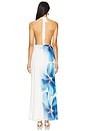 view 4 of 4 Jasmina Maxi Dress in Blue Flower