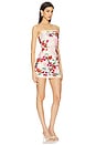 view 2 of 3 Zemiya Mini Dress in Milla Print