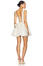 view 4 of 5 Joelle Mini Dress in Ivory
