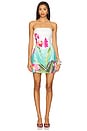 view 1 of 4 Ibiza Mini Dress in Nalani Print