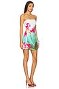 view 2 of 4 Ibiza Mini Dress in Nalani Print