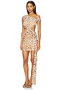 view 1 of 3 Mara Mini Dress in Tikani Leopard