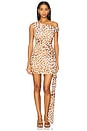view 2 of 3 Mara Mini Dress in Tikani Leopard