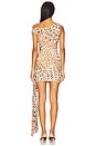 view 3 of 3 Mara Mini Dress in Tikani Leopard