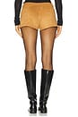 view 4 of 6 Zaela Mini Shorts in Tan