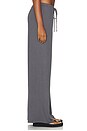 view 4 of 6 PANTALONES ANJI  in Steel