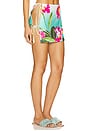 view 3 of 7 Paradise Mini Skirt in Nalani Print