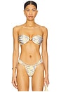 view 1 of 4 Brazil Bikini Top in Sivella Print