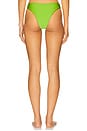 view 3 of 4 Tahiti Bottom in Kiwi