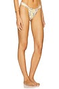 view 2 of 4 Tropez Bikini Bottom in Sivella Print