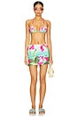 view 4 of 5 Paradise Bikini Top in Nalani Print