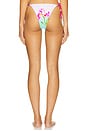 view 3 of 4 Paradise Bikini Bottom in Nalani Print