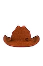 view 2 of 3 Monogram Embellished Cowboy Hat in Ginger