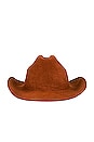 view 3 of 3 Monogram Embellished Cowboy Hat in Ginger