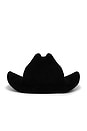 view 2 of 3 Monogram Cowboy Hat in Black