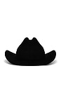 view 3 of 3 Monogram Cowboy Hat in Black