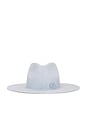 view 2 of 2 Fedora Hat in Blue