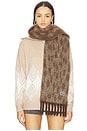 view 1 of 4 Scarf in Beige & Brown