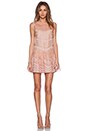 view 4 of 4 Point D'Esprit and Scallop Emroidered Drop Waist Dress in Blush