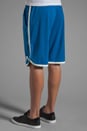 view 4 of 6 VA Sport Short in Snorkel Blue/Vintage White in Snorkel Blue & Vintage White
