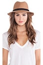 view 1 of 4 Rosy Fruits Fedora in Tan