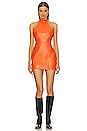 view 1 of 3 x Molnm Loquat Leather Mini Dress in Burnt Orange