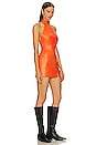 view 2 of 3 x Molnm Loquat Leather Mini Dress in Burnt Orange