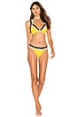 view 4 of 4 CHOMP ビキニトップ in Honey Mustard