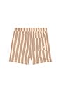 view 2 of 4 Boardshort in Brown Butterscotch Stripe