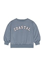 view 1 of 5 Relaxed Sweatshirt in Coastal