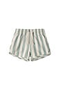 view 1 of 1 Swim Trunk in Green Stripe