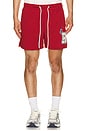 view 1 of 6 SHORT NA in Red