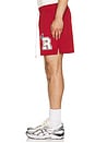 view 2 of 6 SHORT NA in Red