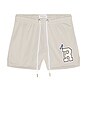 view 4 of 5 ШОРТЫ in Silver