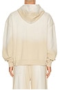 view 2 of 4 Vintage Artist Hoodie in Taupe