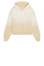 view 5 of 4 Vintage Artist Hoodie in Taupe