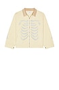 view 5 of 6 CHAQUETA in Bone