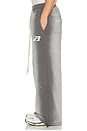 view 4 of 7 PANTALON VINTAGE in Stone Gray