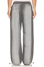 view 5 of 7 PANTALON VINTAGE in Stone Gray