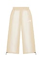 view 7 of 7 PANTALON VINTAGE in Taupe