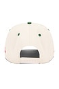 view 3 of 5 x REVOLVE Liquor Cap in Green & White