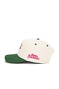 view 5 of 5 x REVOLVE Liquor Cap in Green & White