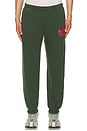 view 4 of 6 x REVOLVE Pine Sweatpant in Green