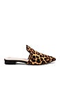 view 1 of 5 Natalie Flat Mule in Leopard