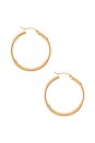 view 3 of 3 Thick Gold Hoops in Gold